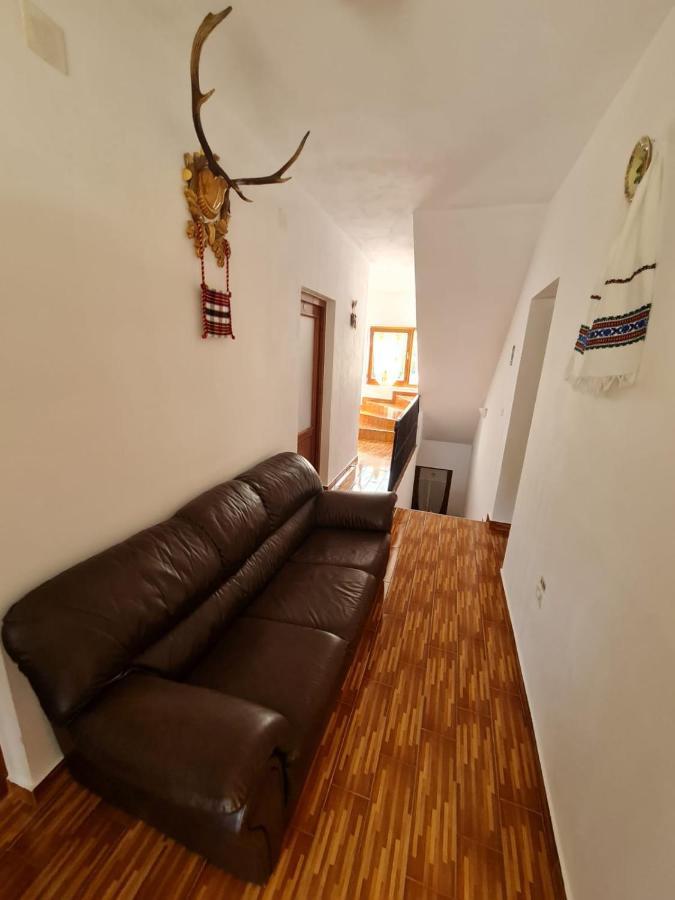 Cazare Luxandra Borsa  Bagian luar foto